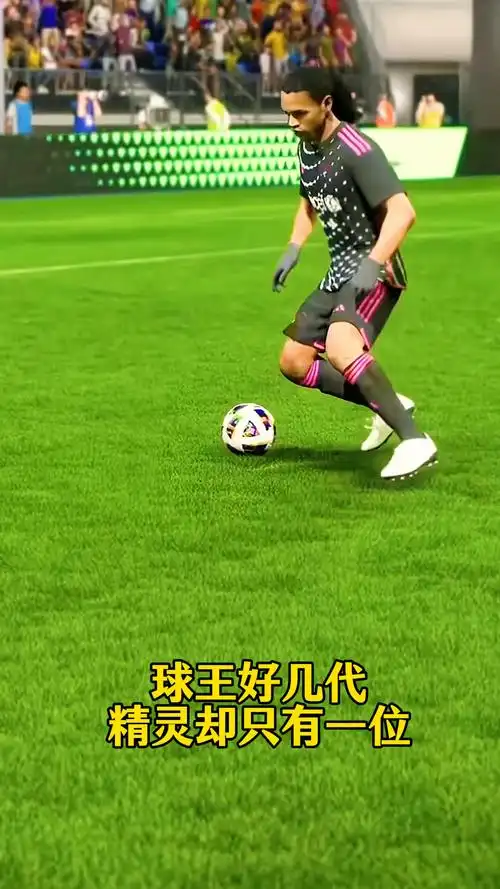 萨尼亚以其